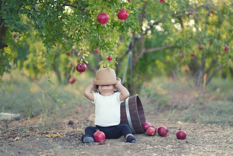 צילומי חוץ – צילום של מיכל סיבוני 17