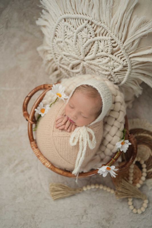 NEW BORN – צילום של מיכל סיבוני 89