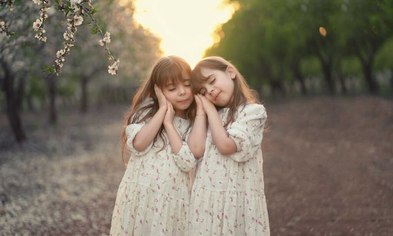 צילומי חוץ – צילום של מיכל סיבוני 13