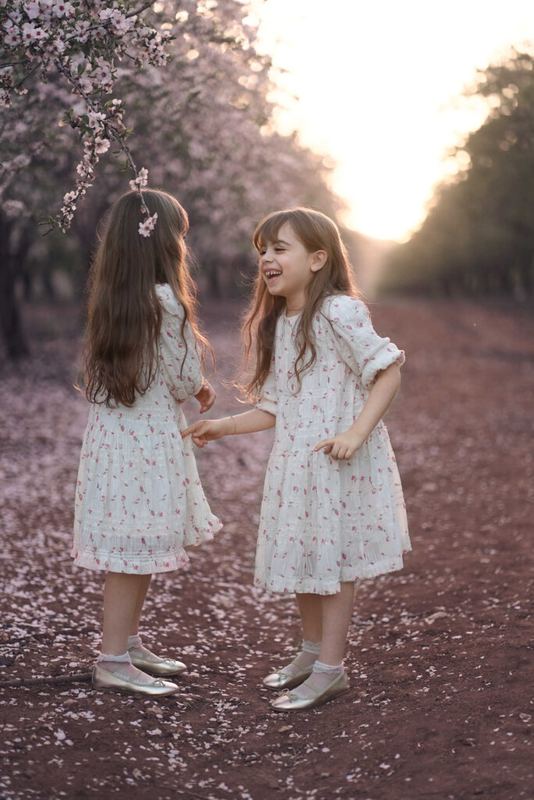 צילומי חוץ – צילום של מיכל סיבוני 72