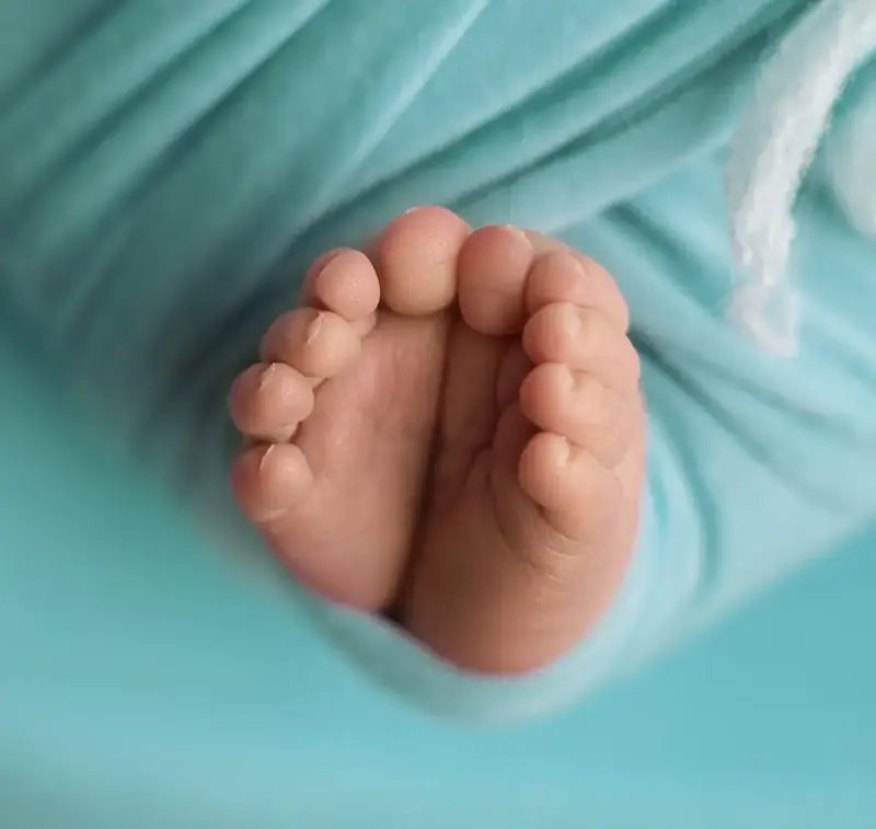 NEW BORN – צילום של מיכל סיבוני 27